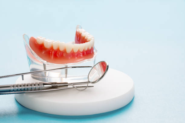 Argos, IN  Holistic Dental Services Company
